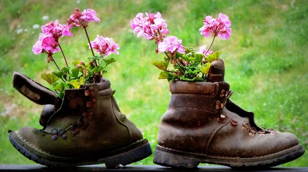chiemgau impulscamp berge schuhe blumen